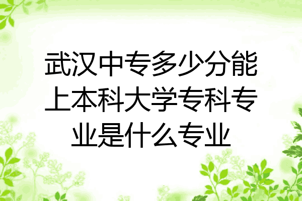武汉中专多少分能上本科大学专科专业是什么专业