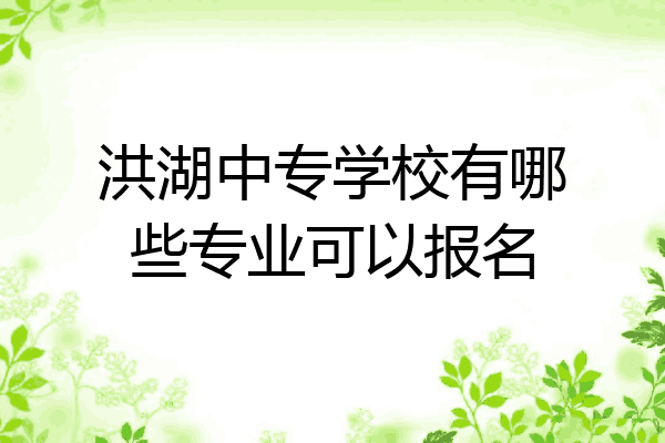 洪湖中专学校有哪些专业可以报名
