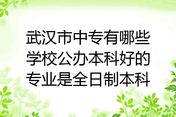 武汉市中专有哪些学校公办本科好的专业是全日制本科