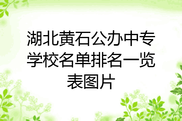 湖北黄石公办中专学校名单排名一览表图片