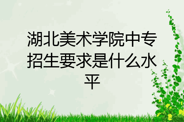 湖北美术学院中专招生要求是什么水平