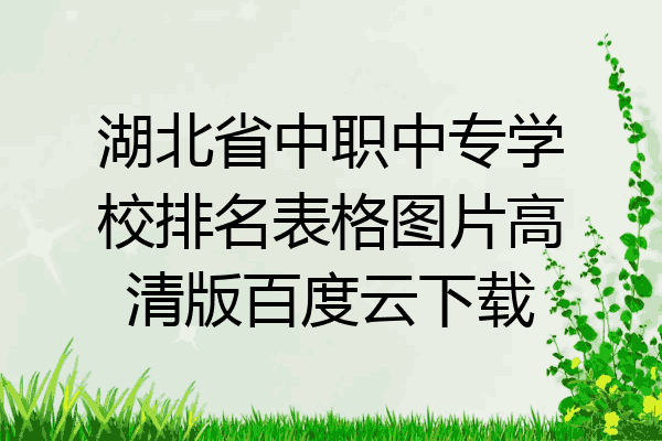 湖北省中职中专学校排名表格图片高清版百度云下载
