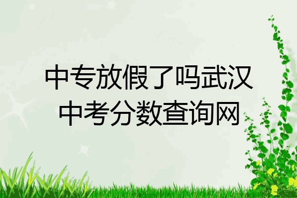 中专放假了吗武汉中考分数查询网