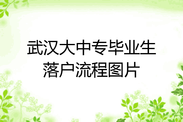 武汉大中专毕业生落户流程图片