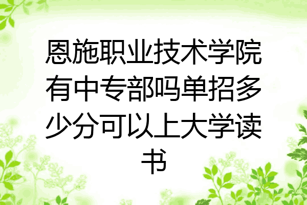 恩施职业技术学院有中专部吗单招多少分可以上大学读书