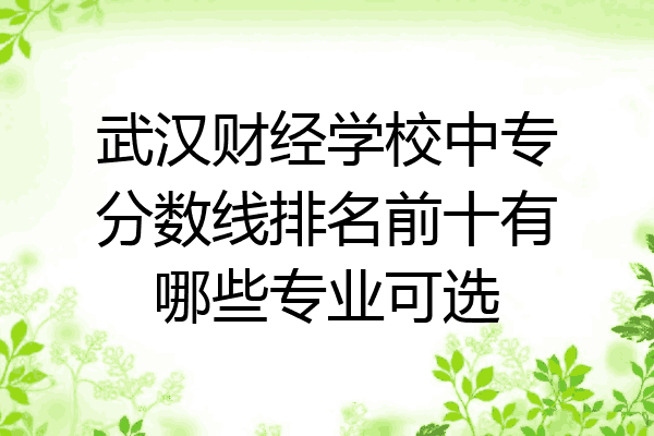 武汉财经学校中专分数线排名前十有哪些专业可选