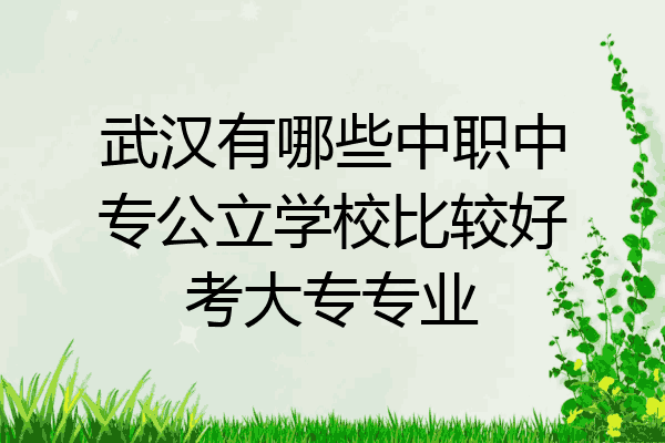 武汉有哪些中职中专公立学校比较好考大专专业