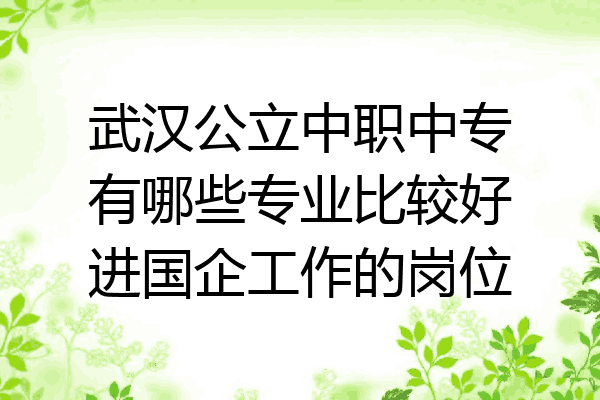 武汉公立中职中专有哪些专业比较好进国企工作的岗位
