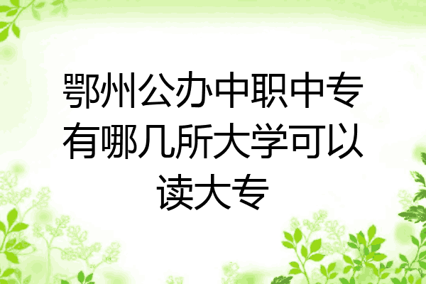 鄂州公办中职中专有哪几所大学可以读大专