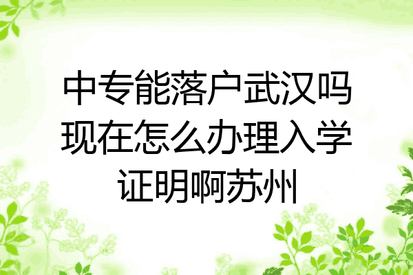中专能落户武汉吗现在怎么办理入学证明啊苏州