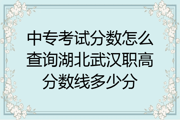 中专考试分数怎么查询湖北武汉职高分数线多少分