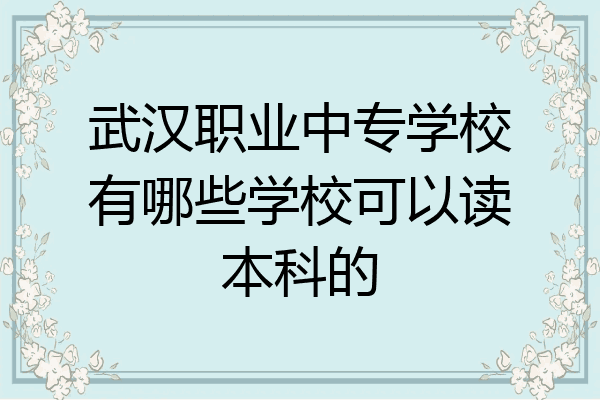 武汉职业中专学校有哪些学校可以读本科的