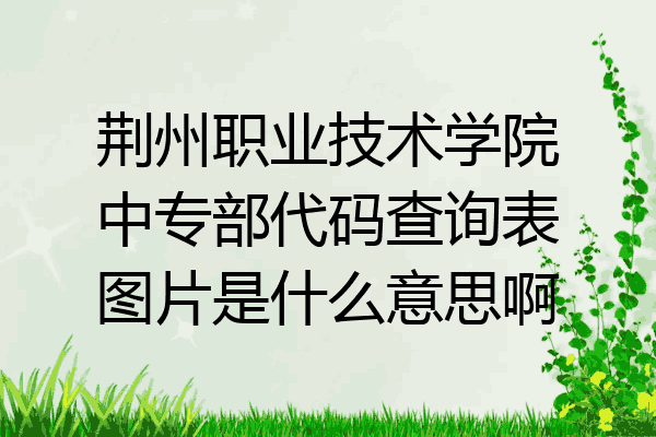 荆州职业技术学院中专部代码查询表图片是什么意思啊