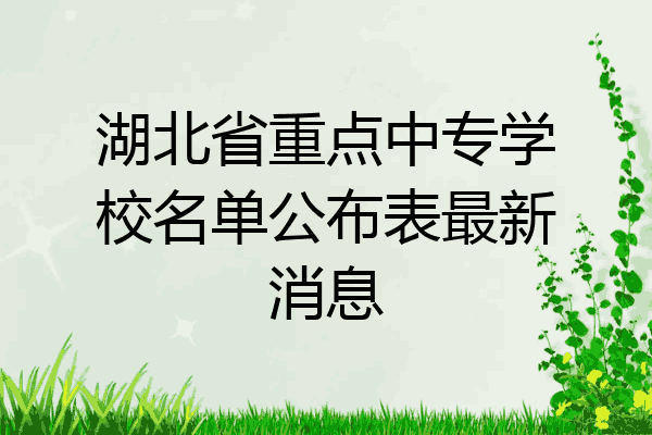 湖北省重点中专学校名单公布表最新消息