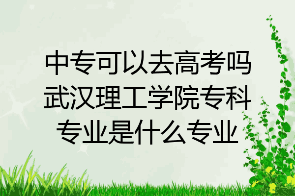 中专可以去高考吗武汉理工学院专科专业是什么专业