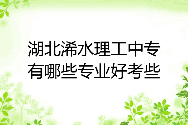 湖北浠水理工中专有哪些专业好考些