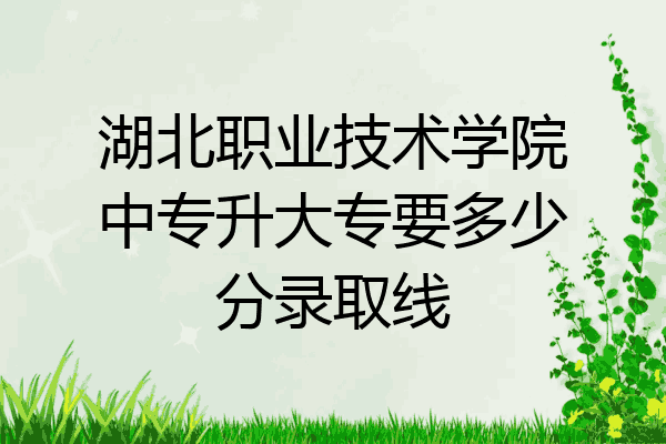 湖北职业技术学院中专升大专要多少分录取线
