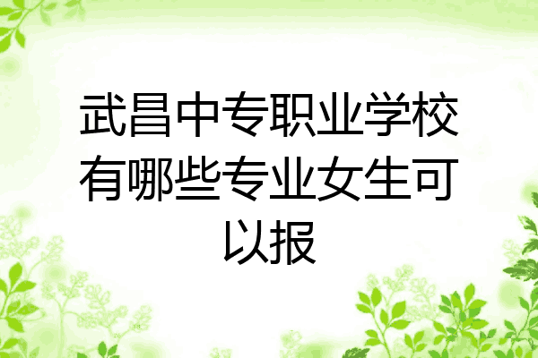 武昌中专职业学校有哪些专业女生可以报