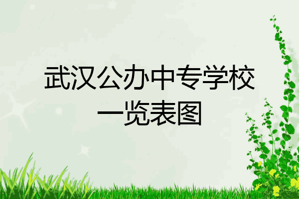 武汉公办中专学校一览表图