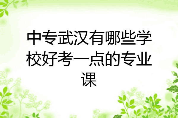 中专武汉有哪些学校好考一点的专业课