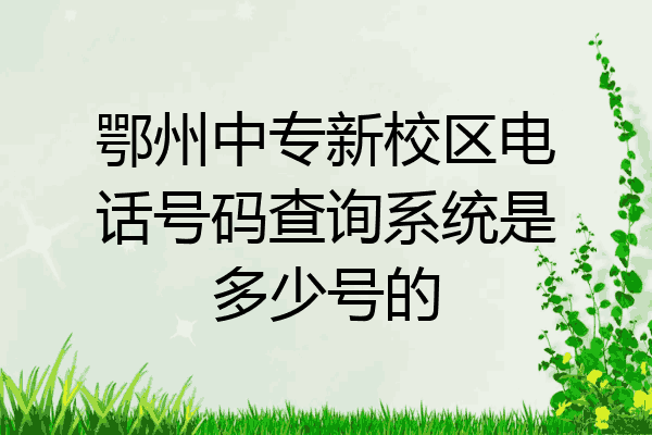 鄂州中专新校区电话号码查询系统是多少号的