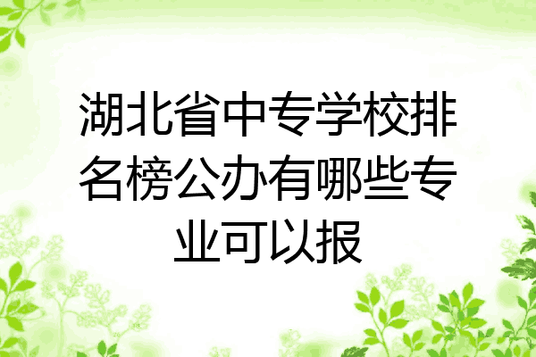 湖北省中专学校排名榜公办有哪些专业可以报