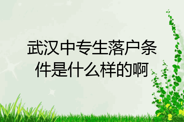 武汉中专生落户条件是什么样的啊