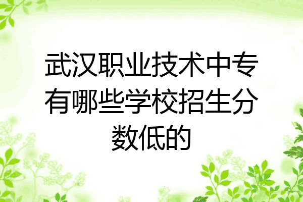 武汉职业技术中专有哪些学校招生分数低的