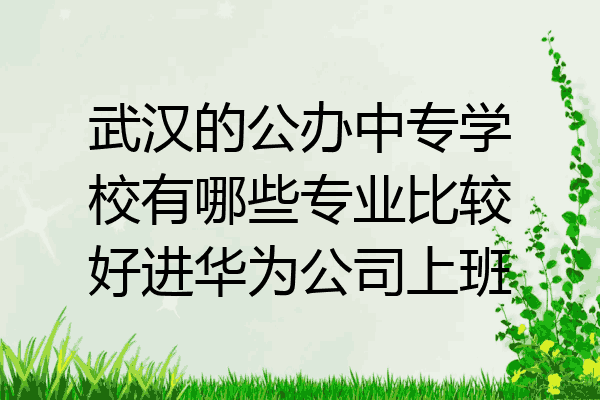 武汉的公办中专学校有哪些专业比较好进华为公司上班
