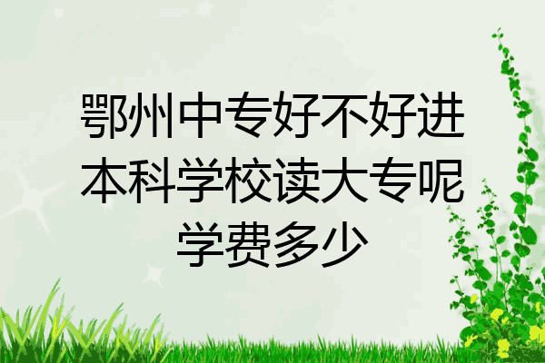 鄂州中专好不好进本科学校读大专呢学费多少