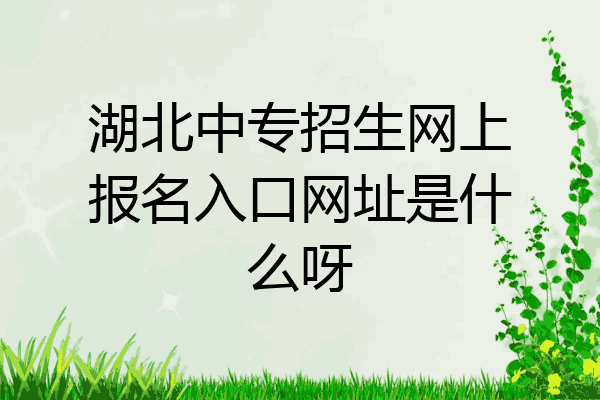 湖北中专招生网上报名入口网址是什么呀