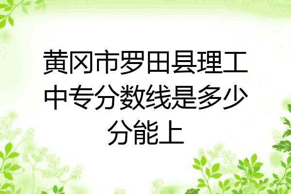 黄冈市罗田县理工中专分数线是多少分能上
