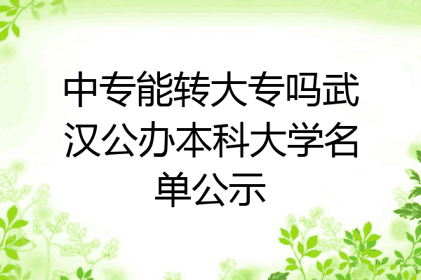 中专能转大专吗武汉公办本科大学名单公示