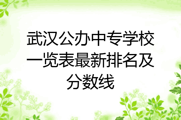 武汉公办中专学校一览表最新排名及分数线