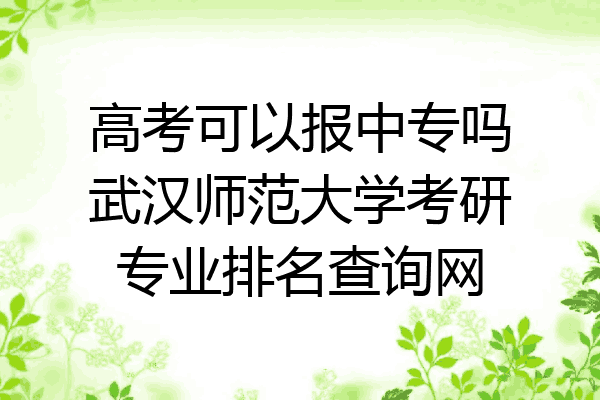 高考可以报中专吗武汉师范大学考研专业排名查询网