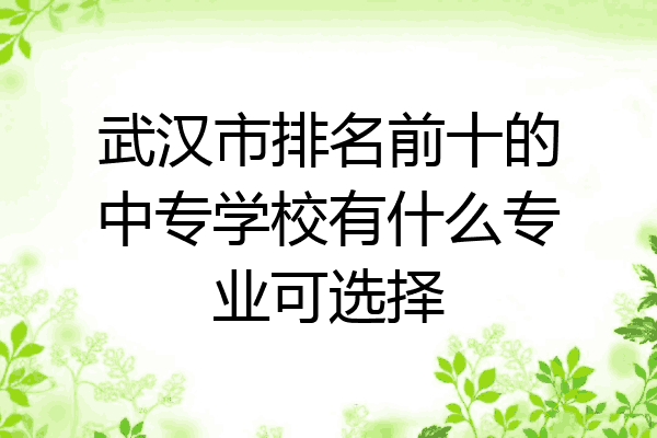 武汉市排名前十的中专学校有什么专业可选择