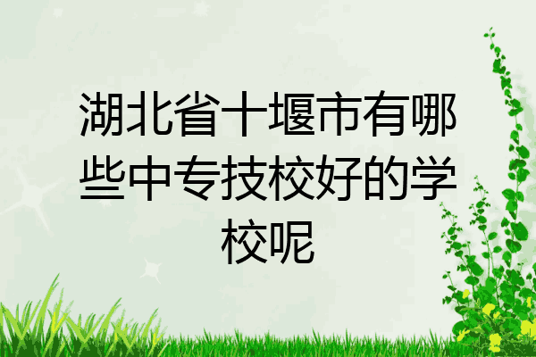 湖北省十堰市有哪些中专技校好的学校呢