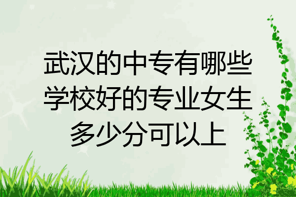武汉的中专有哪些学校好的专业女生多少分可以上
