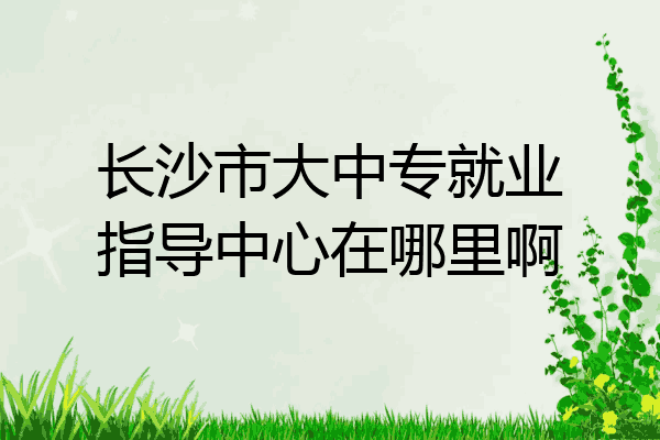 长沙市大中专就业指导中心在哪里啊