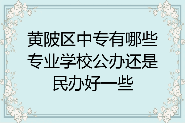 黄陂区中专有哪些专业学校公办还是民办好一些