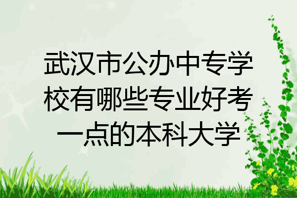 武汉市公办中专学校有哪些专业好考一点的本科大学