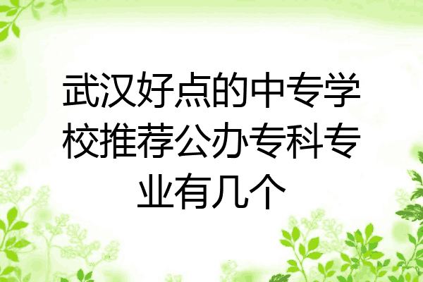 武汉好点的中专学校推荐公办专科专业有几个