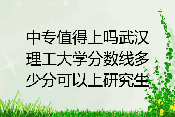 中专值得上吗武汉理工大学分数线多少分可以上研究生