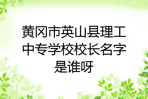 黄冈市英山县理工中专学校校长名字是谁呀