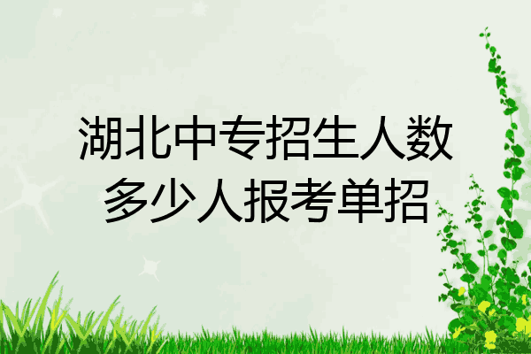 湖北中专招生人数多少人报考单招