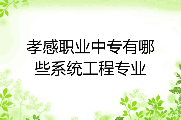 孝感职业中专有哪些系统工程专业