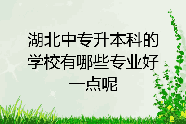 湖北中专升本科的学校有哪些专业好一点呢