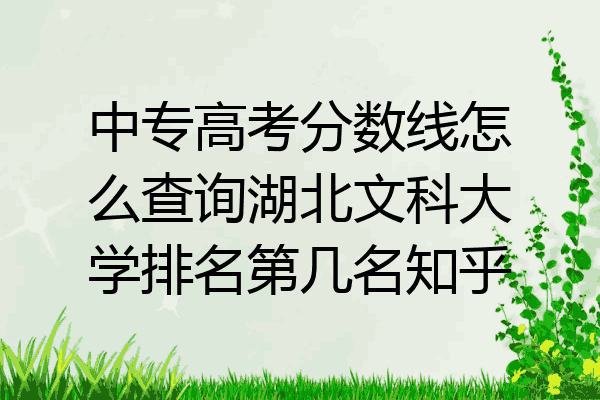 中专高考分数线怎么查询湖北文科大学排名第几名知乎