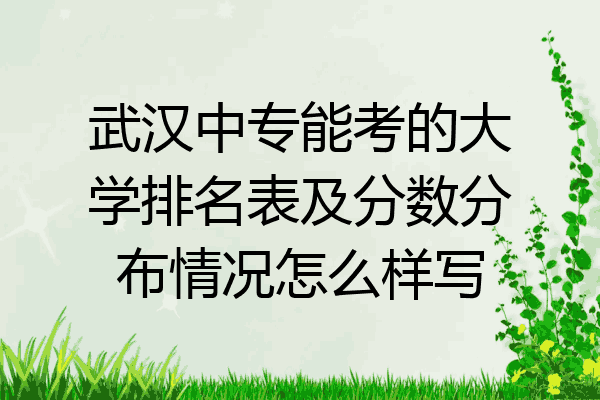 武汉中专能考的大学排名表及分数分布情况怎么样写