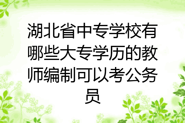 湖北省中专学校有哪些大专学历的教师编制可以考公务员